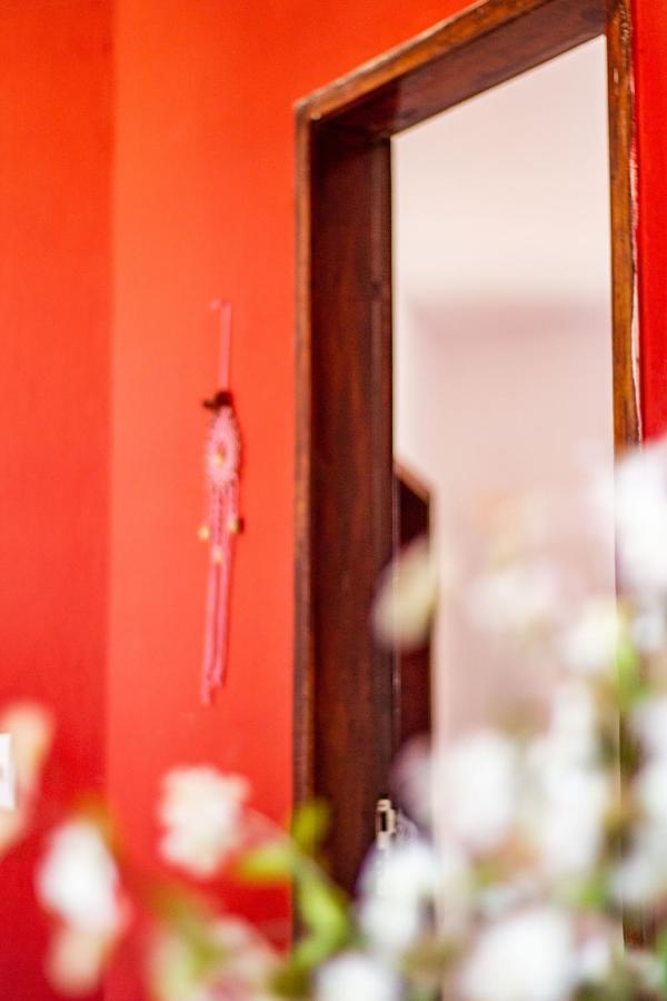 Gato Do Mato Hostal Cumbuco