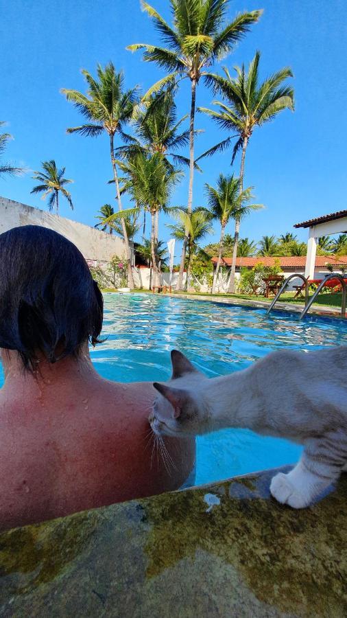 Gato Do Mato Hostal *