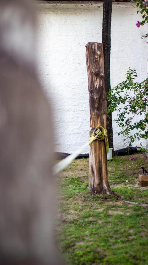 Hostal Gato Do Mato